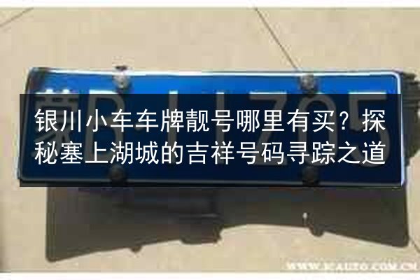 银川小车车牌靓号哪里有买?探秘塞上湖城的吉祥号码寻踪之道 第3张 银川小车车牌靓号哪里有买?探秘塞上湖城的吉祥号码寻踪之道 第3张