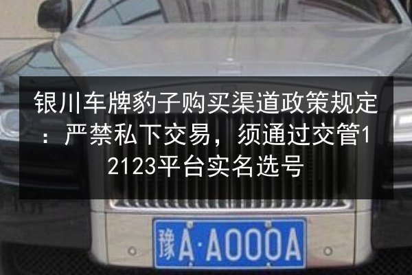 银川车牌豹子购买渠道政策规定：严禁私下交易，须通过交管12123平台实名选号 第2张