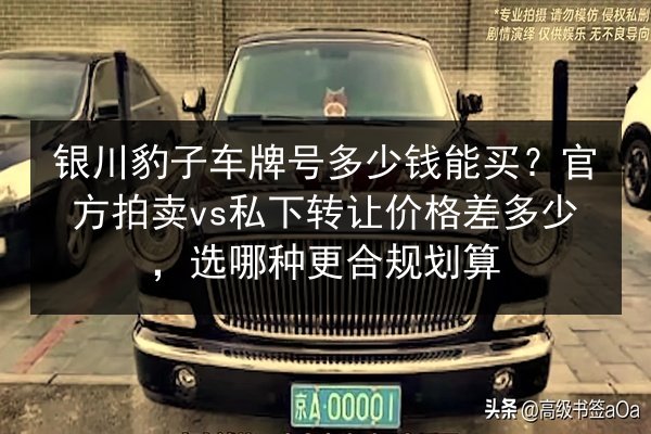 银川豹子车牌号多少钱能买?官方拍卖vs私下转让价格差多少,选哪种更合规划算 第3张 银川豹子车牌号多少钱能买?官方拍卖vs私下转让价格差多少,选哪种更合规划算 第3张