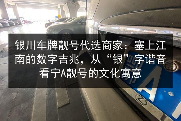 银川车牌靓号代选商家:塞上江南的数字吉兆,从“银”字谐音看宁A靓号的文化寓意 第2张 银川车牌靓号代选商家:塞上江南的数字吉兆,从“银”字谐音看宁A靓号的文化寓意 第2张