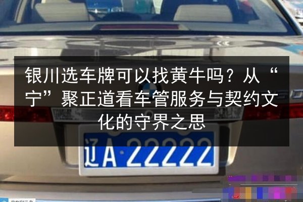 银川选车牌可以找黄牛吗?从“宁”聚正道看车管服务与契约文化的守界之思 第1张 银川选车牌可以找黄牛吗?从“宁”聚正道看车管服务与契约文化的守界之思 第1张