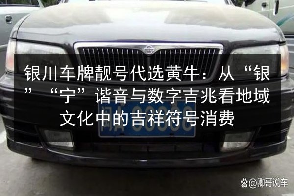 银川车牌靓号代选黄牛:从“银”“宁”谐音与数字吉兆看地域文化中的吉祥符号消费 第2张 银川车牌靓号代选黄牛:从“银”“宁”谐音与数字吉兆看地域文化中的吉祥符号消费 第2张