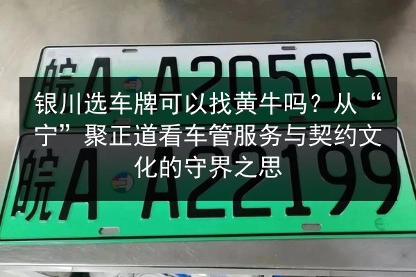 银川选车牌可以找黄牛吗?从“宁”聚正道看车管服务与契约文化的守界之思 第2张 银川选车牌可以找黄牛吗?从“宁”聚正道看车管服务与契约文化的守界之思 第2张