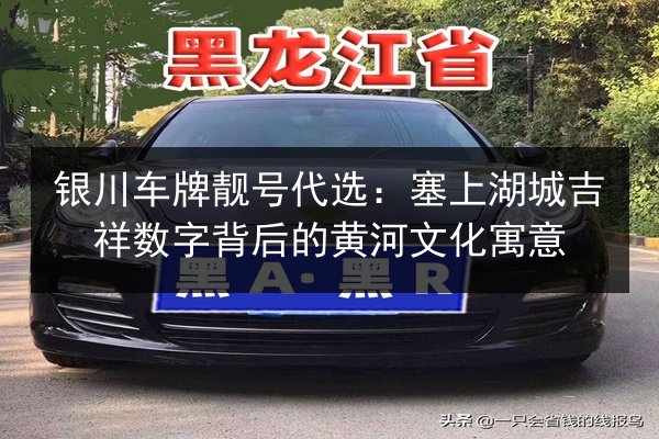 银川车牌靓号代选:塞上湖城吉祥数字背后的黄河文化寓意 第3张 银川车牌靓号代选:塞上湖城吉祥数字背后的黄河文化寓意 第3张