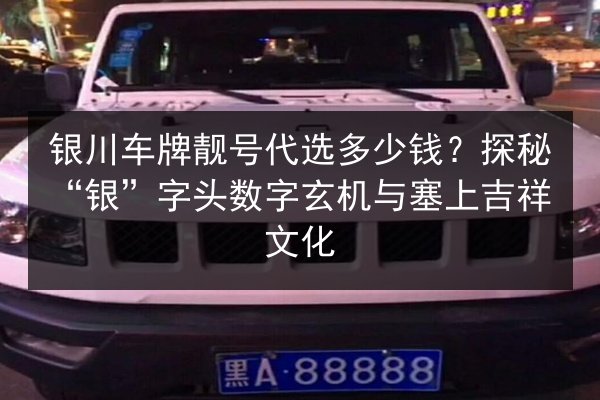 银川车牌靓号代选多少钱?探秘“银”字头数字玄机与塞上吉祥文化 第2张 银川车牌靓号代选多少钱?探秘“银”字头数字玄机与塞上吉祥文化 第2张