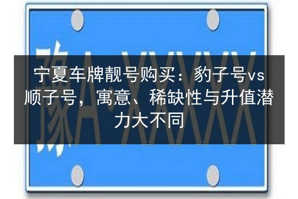 宁夏车牌靓号购买：豹子号vs顺子号，寓意、稀缺性与升值潜力大不同 第2张