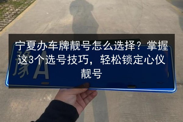 宁夏办车牌靓号怎么选择?掌握这3个选号技巧,轻松锁定心仪靓号 第2张 宁夏办车牌靓号怎么选择?掌握这3个选号技巧,轻松锁定心仪靓号 第2张