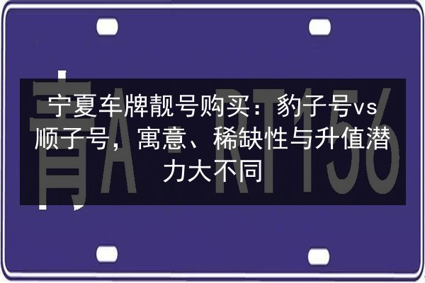 宁夏车牌靓号购买：豹子号vs顺子号，寓意、稀缺性与升值潜力大不同 第3张