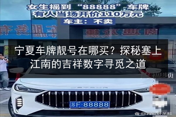 宁夏车牌靓号在哪买？探秘塞上江南的吉祥数字寻觅之道