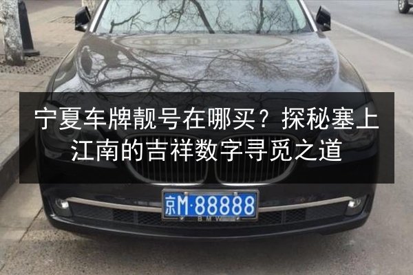 宁夏车牌靓号在哪买？探秘塞上江南的吉祥数字寻觅之道 第2张
