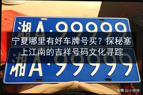 宁夏哪里有好车牌号买？探秘塞上江南的吉祥号码文化寻踪 第2张