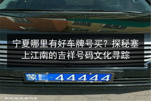 宁夏哪里有好车牌号买？探秘塞上江南的吉祥号码文化寻踪 第3张