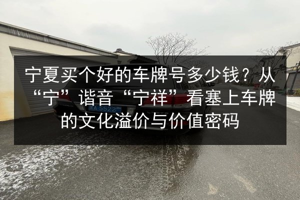 宁夏买个好的车牌号多少钱?从“宁”谐音“宁祥”看塞上车牌的文化溢价与价值密码 第3张 宁夏买个好的车牌号多少钱?从“宁”谐音“宁祥”看塞上车牌的文化溢价与价值密码 第3张