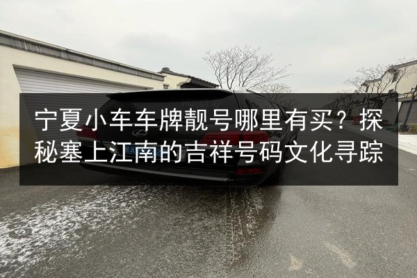 宁夏小车车牌靓号哪里有买?探秘塞上江南的吉祥号码文化寻踪 第2张 宁夏小车车牌靓号哪里有买?探秘塞上江南的吉祥号码文化寻踪 第2张