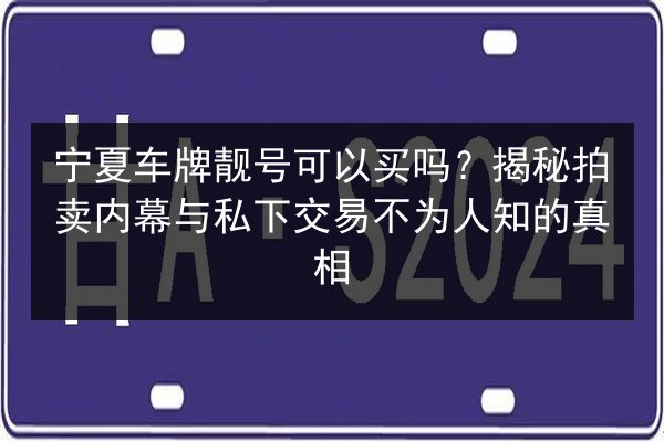 宁夏车牌靓号可以买吗？揭秘拍卖内幕与私下交易不为人知的真相 第3张