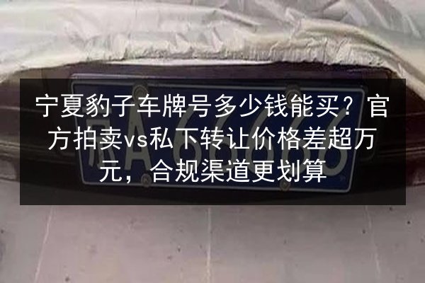 宁夏豹子车牌号多少钱能买？官方拍卖vs私下转让价格差超万元，合规渠道更划算 第2张