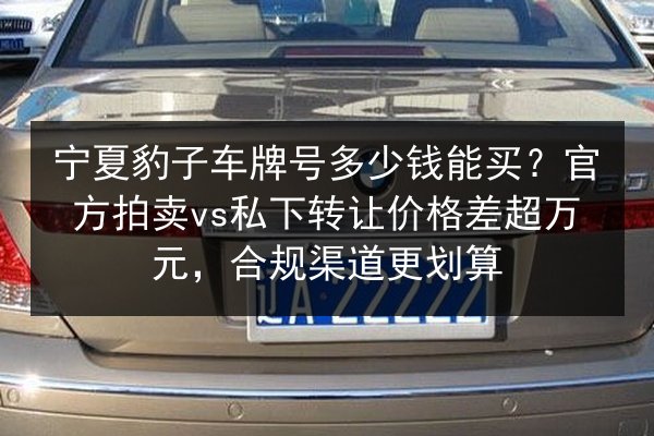 宁夏豹子车牌号多少钱能买？官方拍卖vs私下转让价格差超万元，合规渠道更划算 第3张