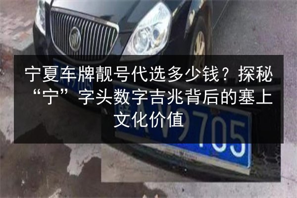 宁夏车牌靓号代选多少钱？探秘“宁”字头数字吉兆背后的塞上文化价值 第1张