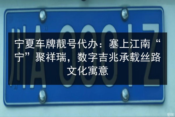 宁夏车牌靓号代办：塞上江南“宁”聚祥瑞，数字吉兆承载丝路文化寓意 第1张