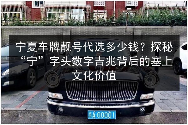 宁夏车牌靓号代选多少钱？探秘“宁”字头数字吉兆背后的塞上文化价值 第3张