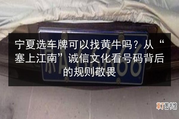 宁夏选车牌可以找黄牛吗?从“塞上江南”诚信文化看号码背后的规则敬畏 第1张 宁夏选车牌可以找黄牛吗?从“塞上江南”诚信文化看号码背后的规则敬畏 第1张