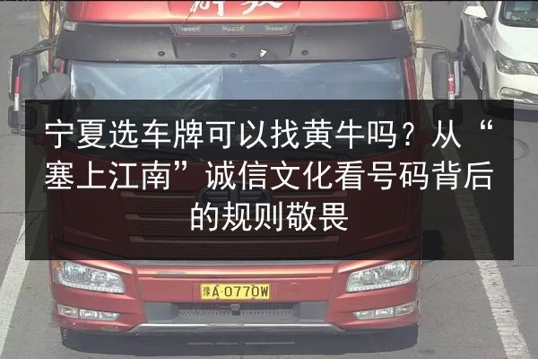 宁夏选车牌可以找黄牛吗?从“塞上江南”诚信文化看号码背后的规则敬畏 第2张 宁夏选车牌可以找黄牛吗?从“塞上江南”诚信文化看号码背后的规则敬畏 第2张