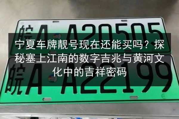 宁夏车牌靓号现在还能买吗？探秘塞上江南的数字吉兆与黄河文化中的吉祥密码 第2张