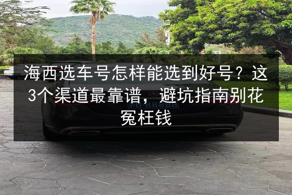 海西选车号怎样能选到好号？这3个渠道最靠谱，避坑指南别花冤枉钱 第2张