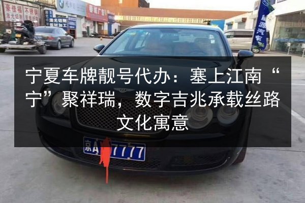 宁夏车牌靓号代办：塞上江南“宁”聚祥瑞，数字吉兆承载丝路文化寓意 第3张