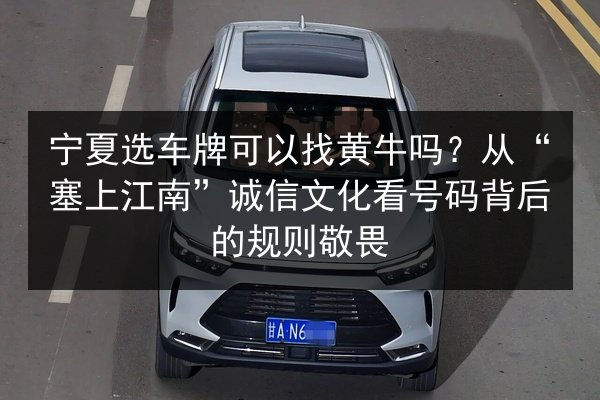 宁夏选车牌可以找黄牛吗?从“塞上江南”诚信文化看号码背后的规则敬畏 第3张 宁夏选车牌可以找黄牛吗?从“塞上江南”诚信文化看号码背后的规则敬畏 第3张