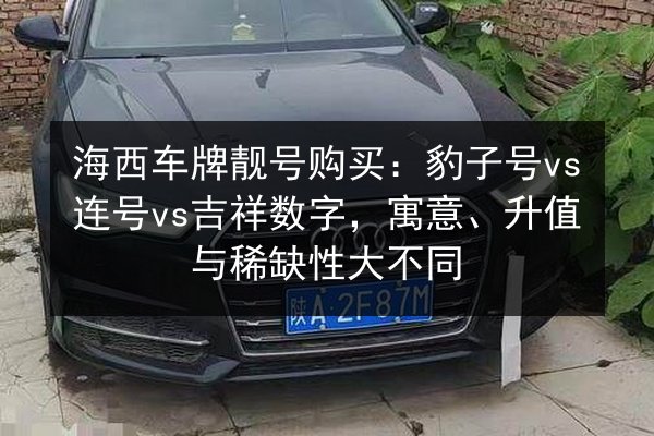 海西车牌靓号购买：豹子号vs连号vs吉祥数字，寓意、升值与稀缺性大不同 第2张