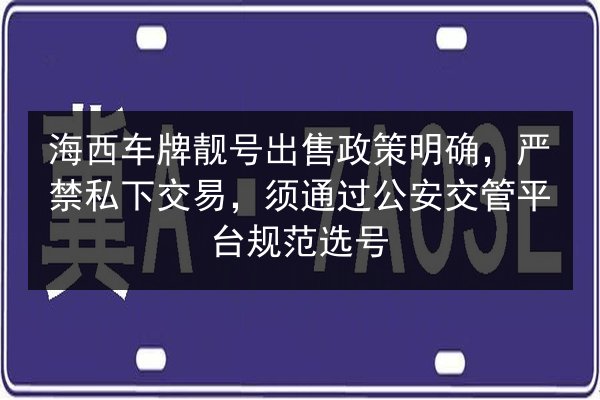 海西车牌靓号出售政策明确,严禁私下交易,须通过公安交管平台规范选号 第3张 海西车牌靓号出售政策明确,严禁私下交易,须通过公安交管平台规范选号 第3张