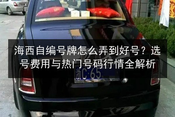 海西自编号牌怎么弄到好号?选号费用与热门号码行情全解析 第4张 海西自编号牌怎么弄到好号?选号费用与热门号码行情全解析 第4张