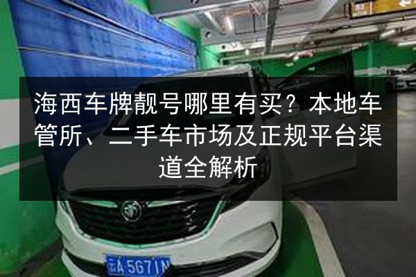 海西车牌靓号哪里有买？本地车管所、二手车市场及正规平台渠道全解析 第2张