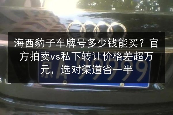 海西豹子车牌号多少钱能买？官方拍卖vs私下转让价格差超万元，选对渠道省一半 第2张