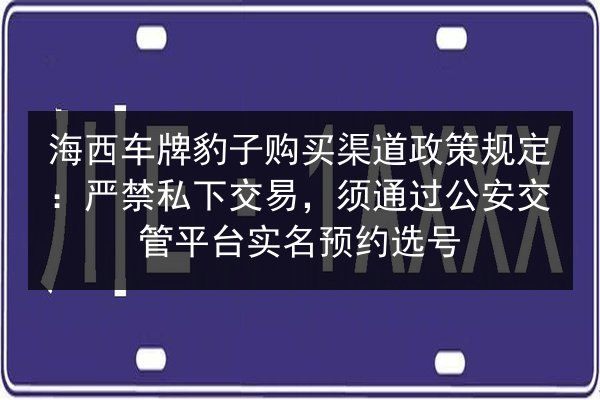 海西车牌豹子购买渠道政策规定：严禁私下交易，须通过公安交管平台实名预约选号 第2张