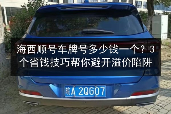 海西顺号车牌号多少钱一个？3个省钱技巧帮你避开溢价陷阱 第2张