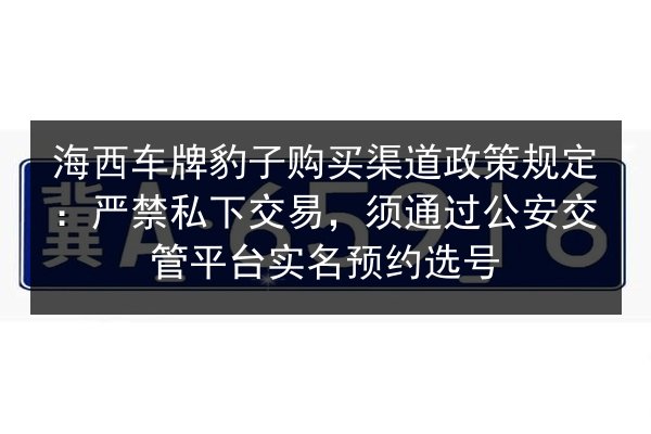 海西车牌豹子购买渠道政策规定：严禁私下交易，须通过公安交管平台实名预约选号 第3张