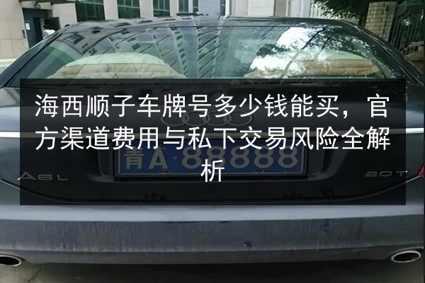 海西顺子车牌号多少钱能买，官方渠道费用与私下交易风险全解析 第2张