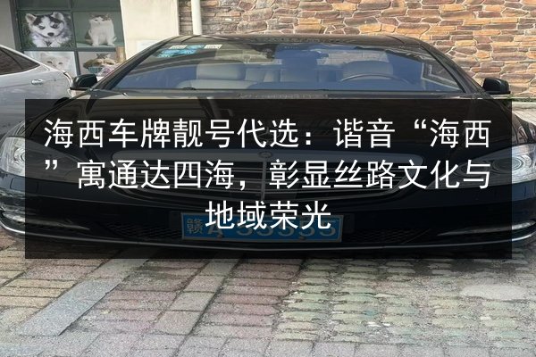 海西车牌靓号代选:谐音“海西”寓通达四海,彰显丝路文化与地域荣光 第2张 海西车牌靓号代选:谐音“海西”寓通达四海,彰显丝路文化与地域荣光 第2张