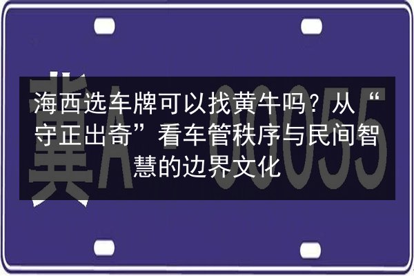 海西选车牌可以找黄牛吗?从“守正出奇”看车管秩序与民间智慧的边界文化 第2张 海西选车牌可以找黄牛吗?从“守正出奇”看车管秩序与民间智慧的边界文化 第2张