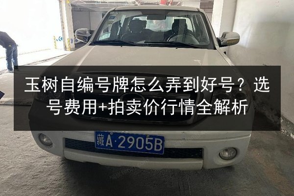 玉树自编号牌怎么弄到好号？选号费用+拍卖价行情全解析