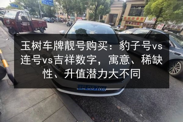 玉树车牌靓号购买：豹子号vs连号vs吉祥数字，寓意、稀缺性、升值潜力大不同