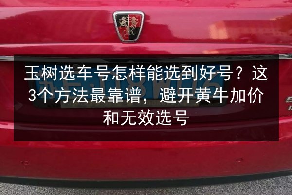 玉树选车号怎样能选到好号？这3个方法最靠谱，避开黄牛加价和无效选号 第2张