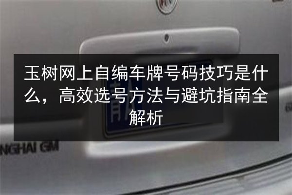 玉树网上自编车牌号码技巧是什么,高效选号方法与避坑指南全解析 第2张 玉树网上自编车牌号码技巧是什么,高效选号方法与避坑指南全解析 第2张