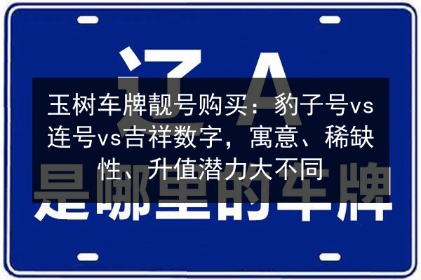 玉树车牌靓号购买：豹子号vs连号vs吉祥数字，寓意、稀缺性、升值潜力大不同 第2张