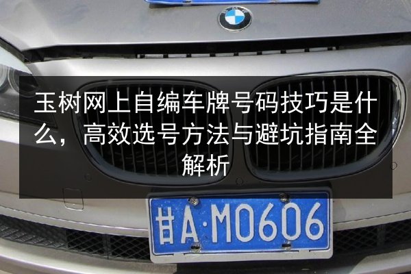 玉树网上自编车牌号码技巧是什么,高效选号方法与避坑指南全解析 第3张 玉树网上自编车牌号码技巧是什么,高效选号方法与避坑指南全解析 第3张