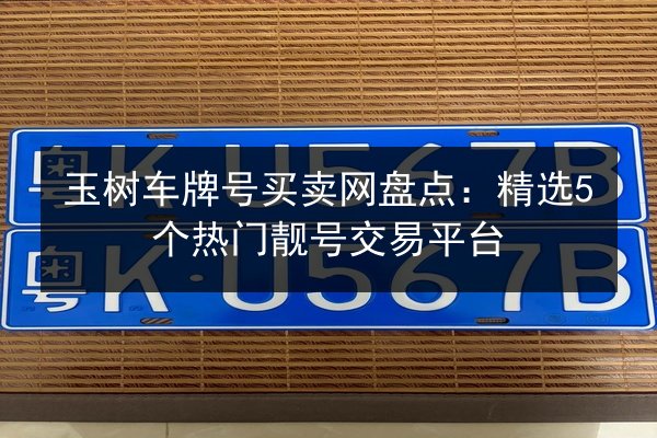 玉树车牌号买卖网盘点：精选5个热门靓号交易平台 第2张