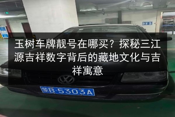 玉树车牌靓号在哪买？探秘三江源吉祥数字背后的藏地文化与吉祥寓意 第2张