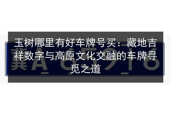 玉树哪里有好车牌号买：藏地吉祥数字与高原文化交融的车牌寻觅之道 第2张